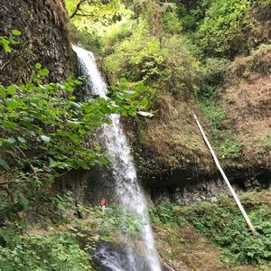 Meet your Posher, Lindsey